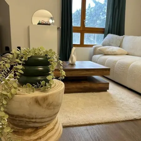 Apartment Paris Cdg Superbe En